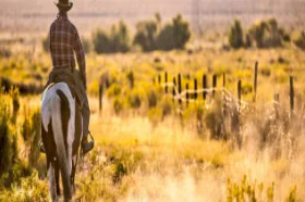 Teksas - Western Story