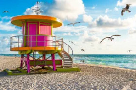 Floryda: Drogowskazem Będzie Słońce